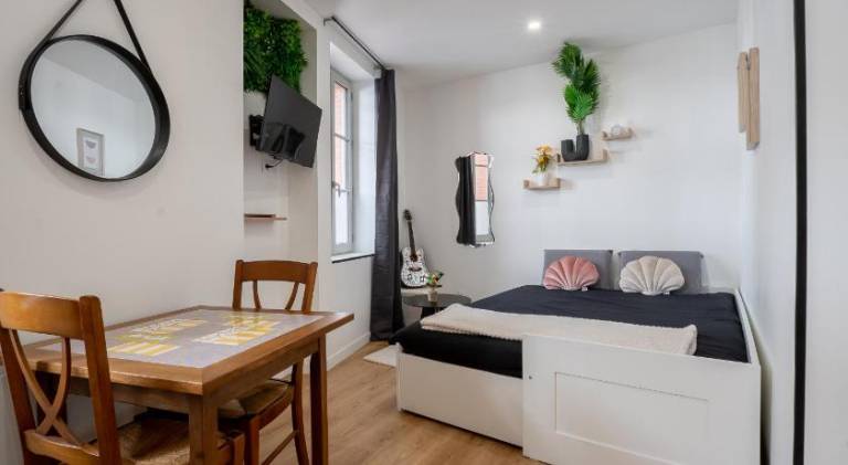 Apartment with 1 room for 2 persons in Toulouse