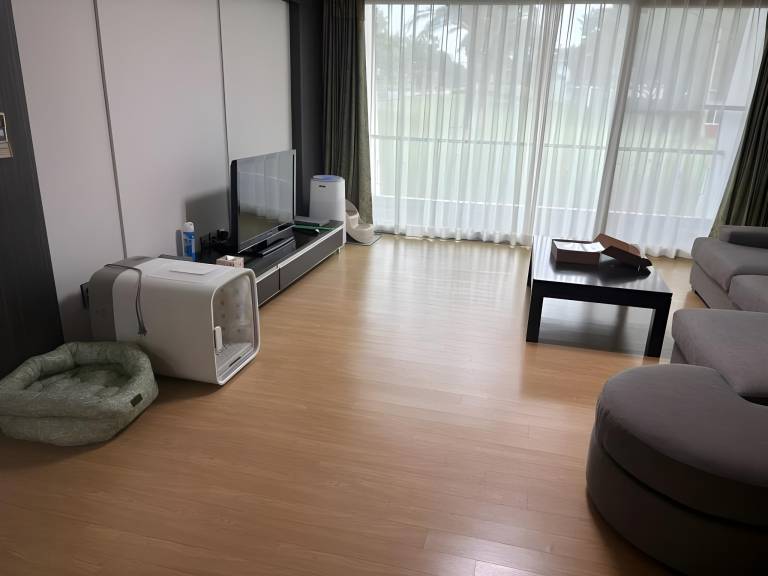 foto46