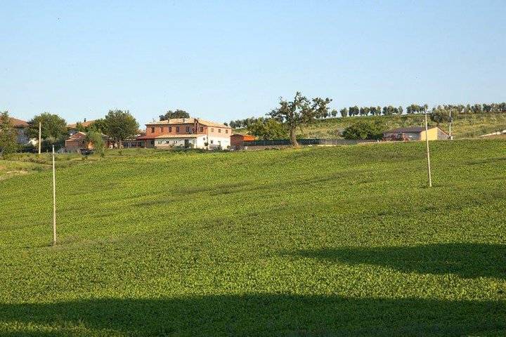 foto19