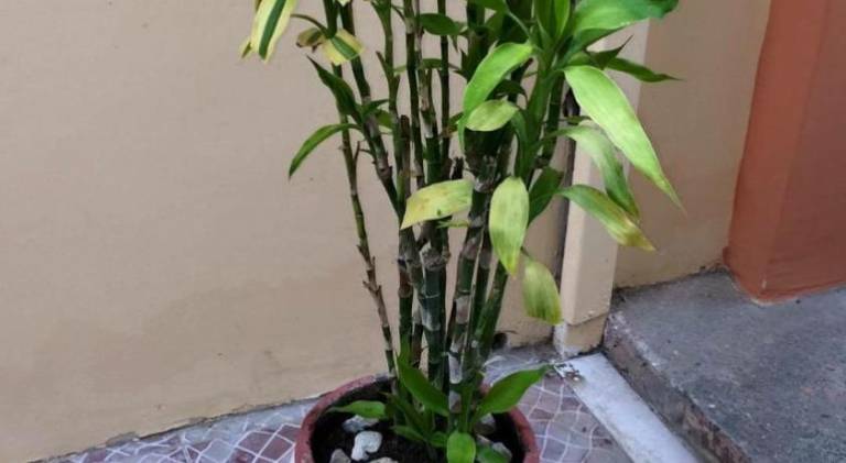 foto13