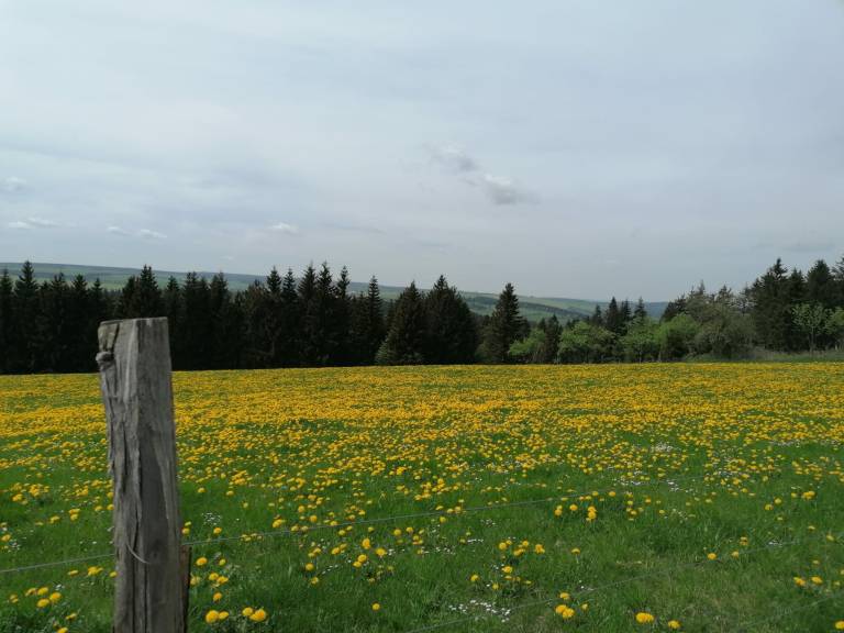 foto12
