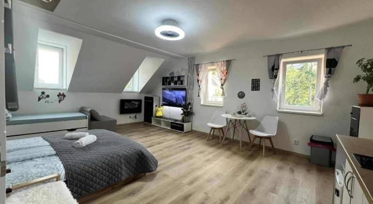 Lovely holiday apartment with terrace | Dogs allowed — photo 2