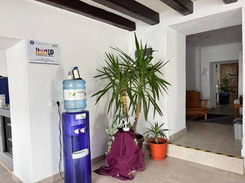 Serviced apartment with patio, sauna & jacuzzi | Pets are welcome — photo 3