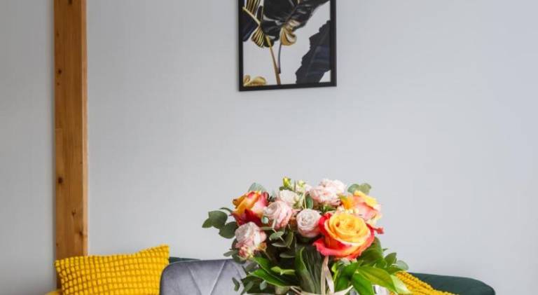Nice rental apartment | Pet-friendly in Bielsko-Biala