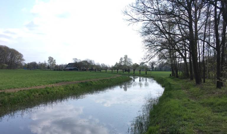 foto14