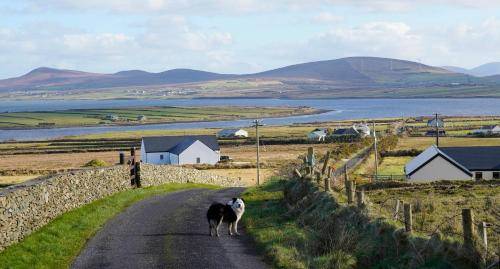 Apartment Belmullet