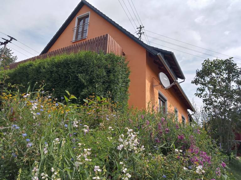 Ferienwohnung  Steinwiesen