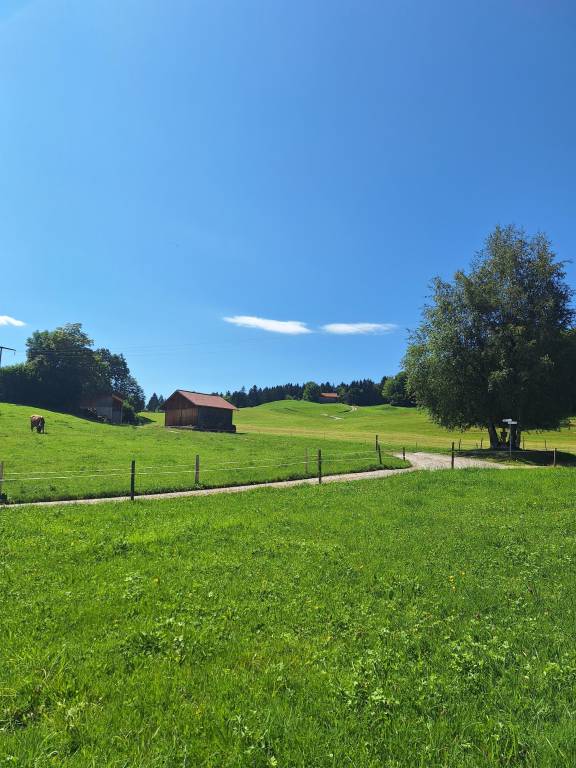 foto1