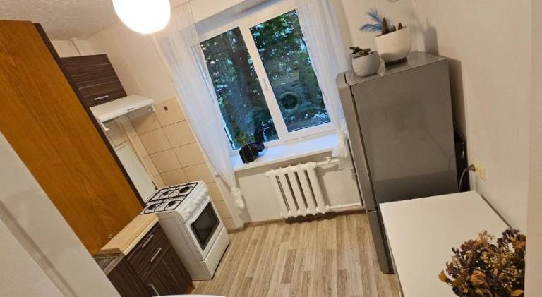 Holiday apartment | Dogs allowed — photo 4