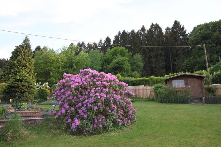 foto14
