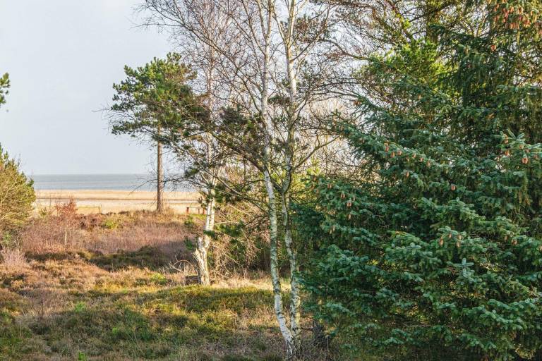 Ferienhaus Havneby