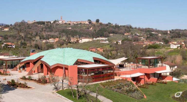 Farm with pool & patio | Pet-friendly in Montecarlo