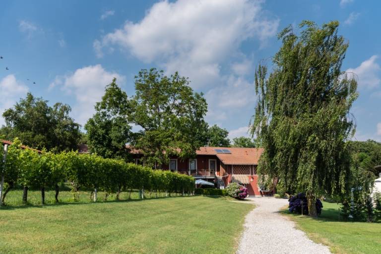 Tenuta Tovaglieri: Merletto — photo 2