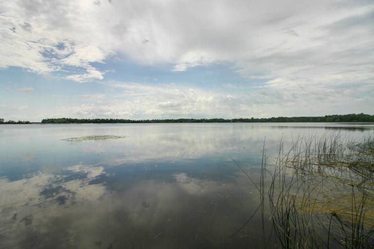 Pet Friendly Lakefront Home: Dock, Kayaks & More! — photo 2
