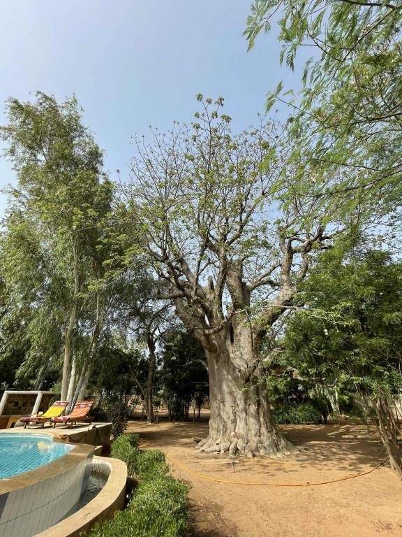 Villa with garden, private pool & patio — photo 5