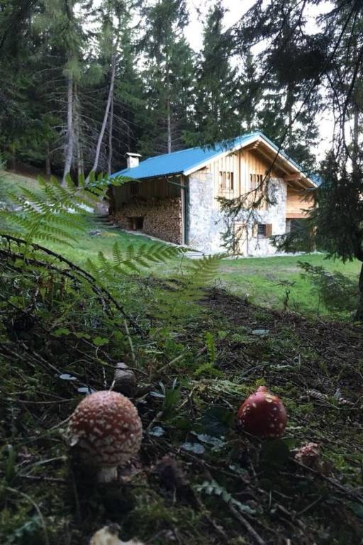 Ferienwohnung mit Hund in Pieve di Bono, Tiarno di Sotto f&uuml;r max. 3 Personen