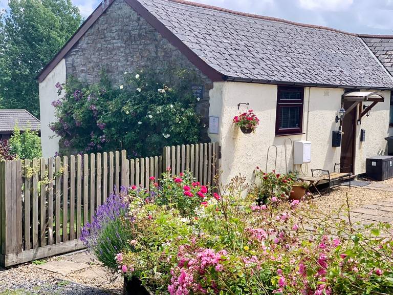 Cottage  Clovelly