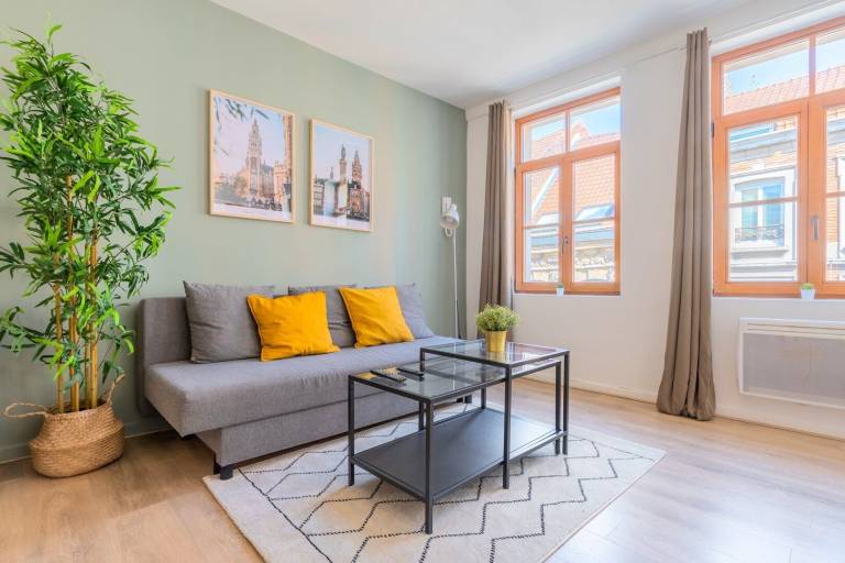 Appartement  Lille