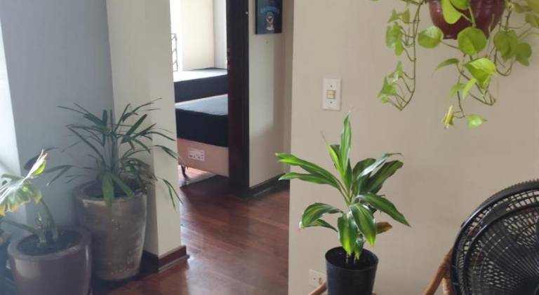 Rental apartment with 2 rooms for 5 persons — photo 2