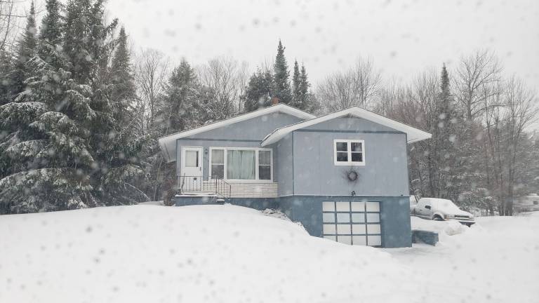 House  White Pine