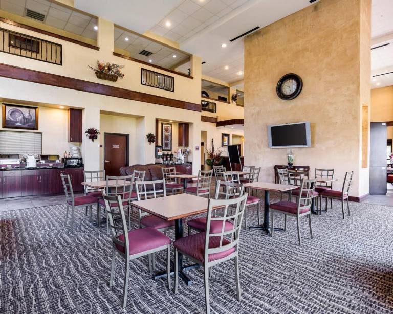 Comfort Suites near NASA - Clear Lake — photo 5