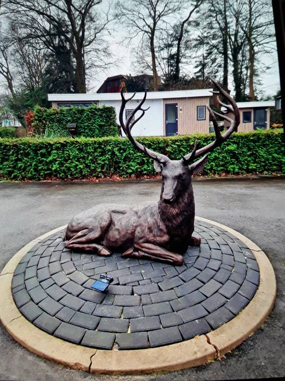 Ferienhaus mit Hund in Harderwijk, Gelderland f&uuml;r max. 2 Personen