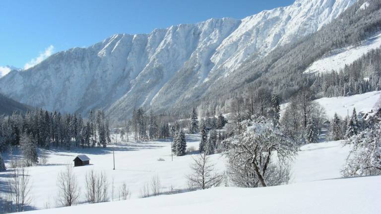 Ferienwohnung Bad Aussee
