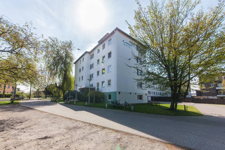 foto1