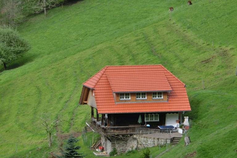 foto6