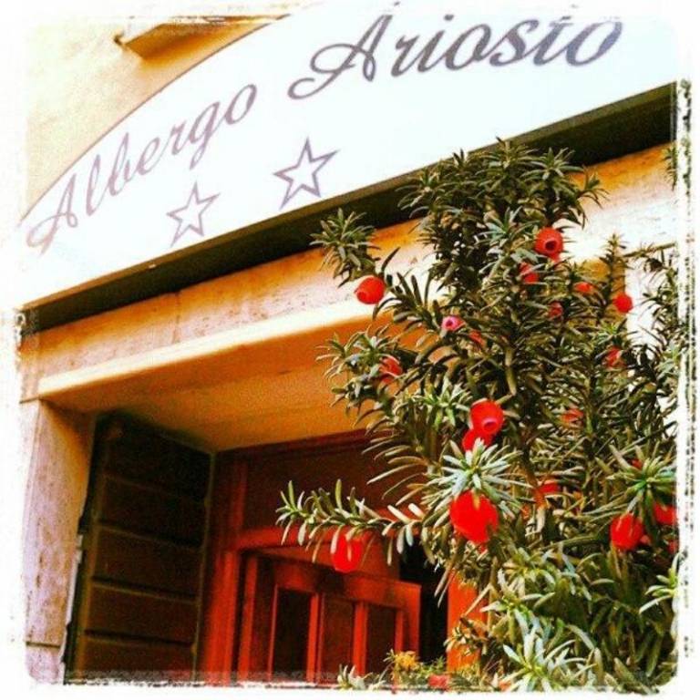Hotel Ariosto — photo 2