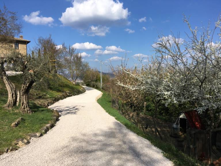 foto41