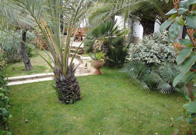 foto9