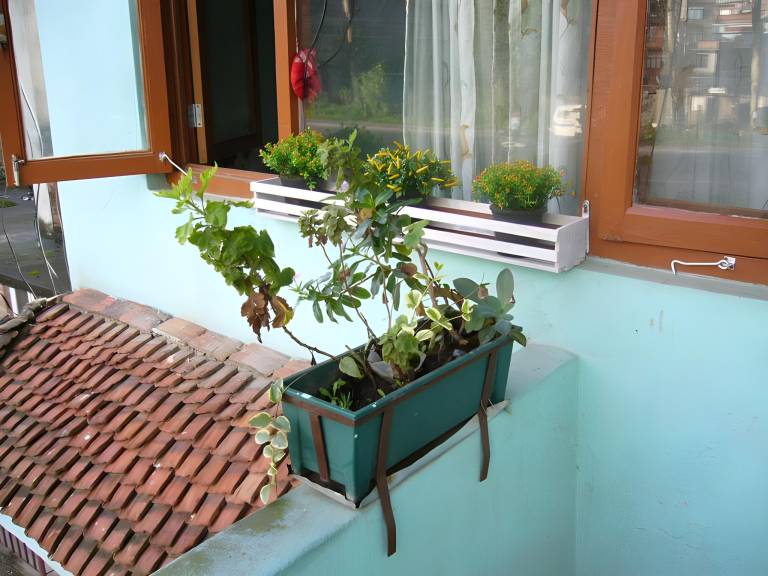 foto34