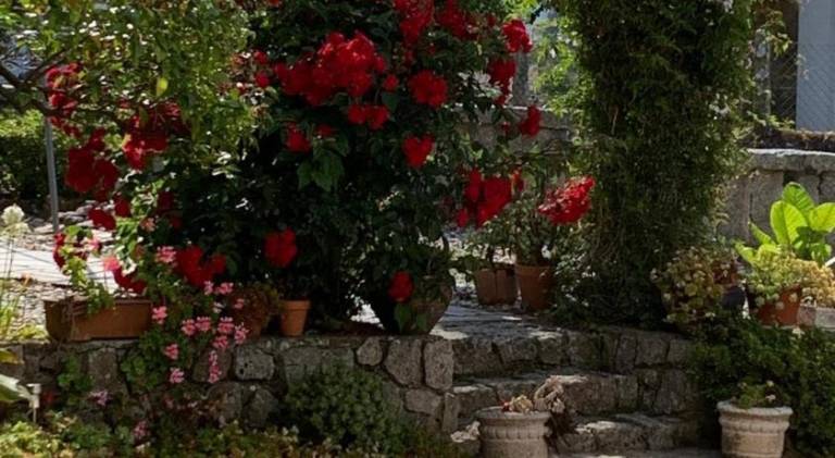 foto34
