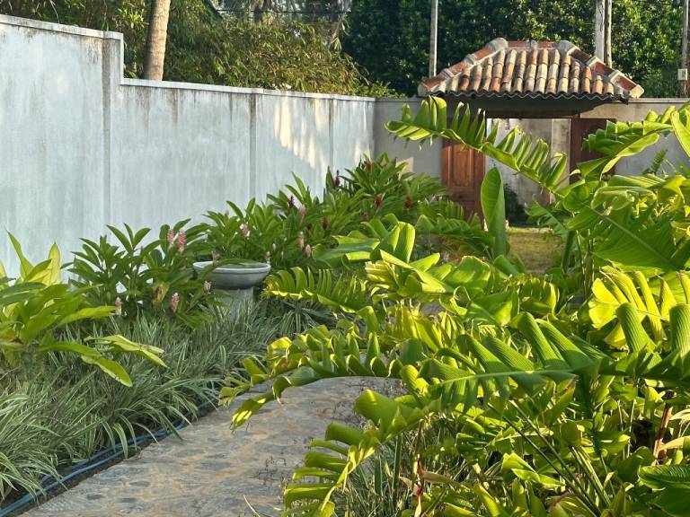 foto14