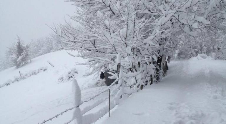 foto33