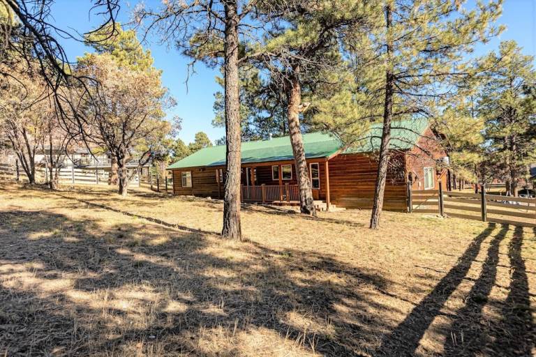 Cabin  Pagosa Springs