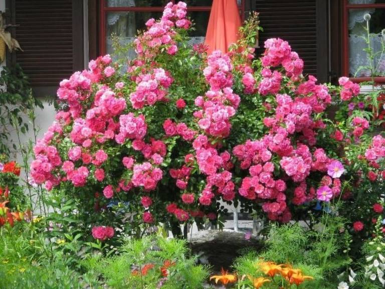 foto23
