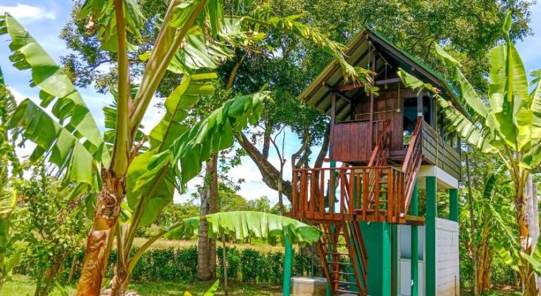 Pride Rock Villa & Tree House in Dambulla