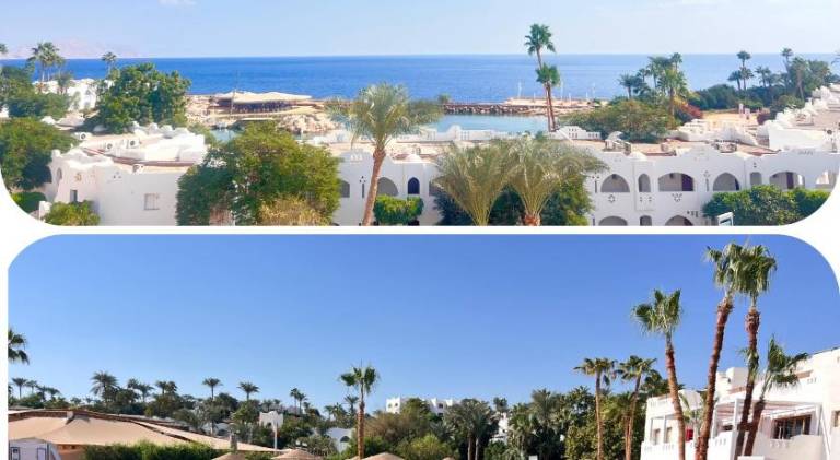 Family-friendly serviced apartment with pool, garden & jacuzzi | Close to the beach | Pet-friendly in Sharm El Sheikh