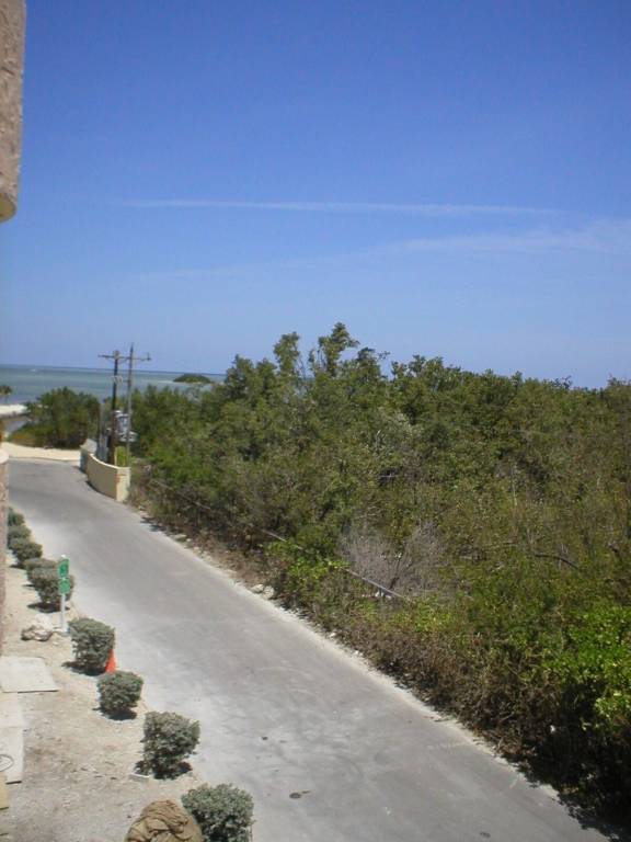 Condo  Key Largo