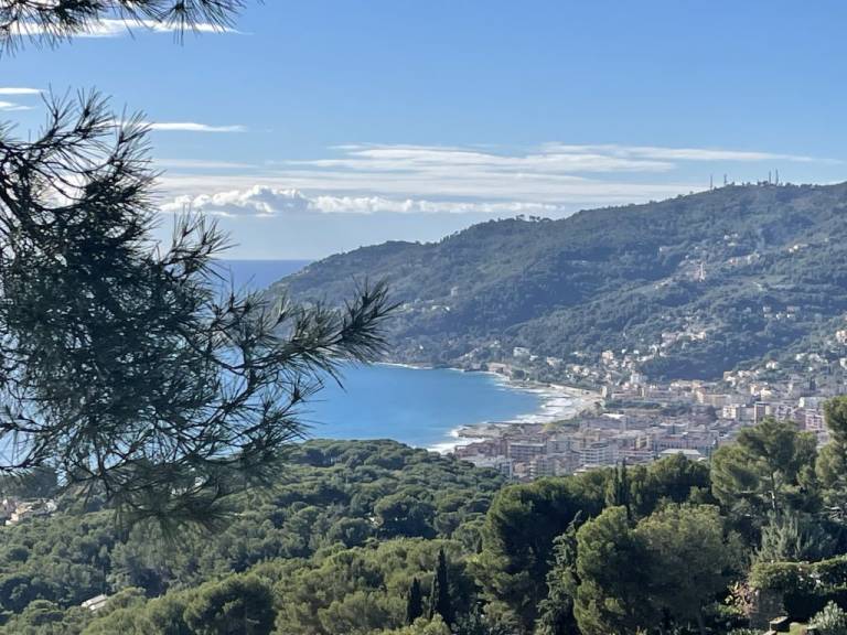 foto16