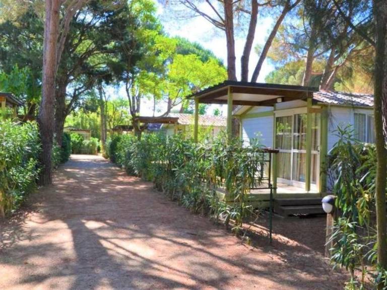 Beautiful chalet with pool & patio | Pets are welcome — photo 4