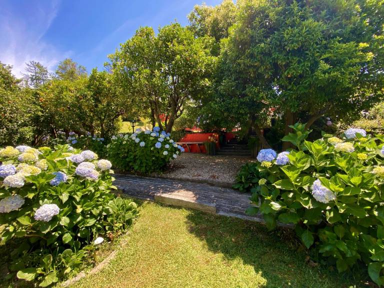 foto11