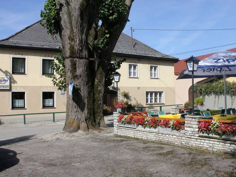 foto5