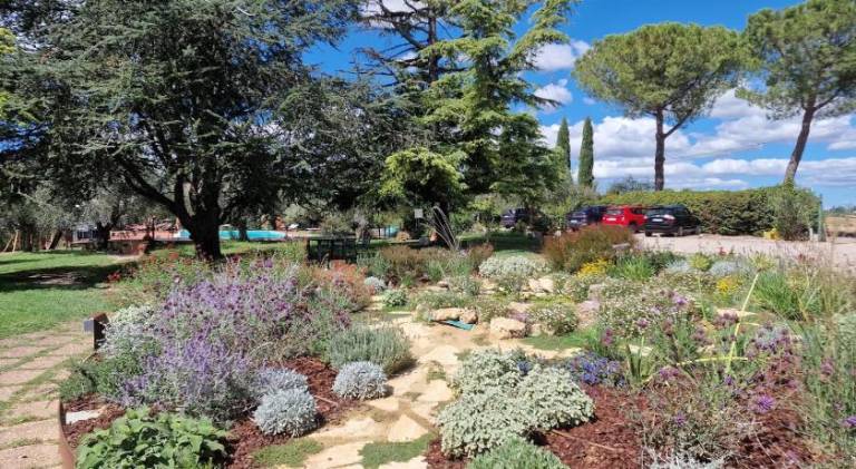Farm with BBQ, garden & patio | Dogs allowed in Castiglione del Lago