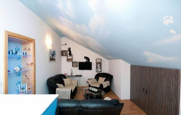 Fully equipped holiday apartment | Garden view | Pets are welcome — photo 5
