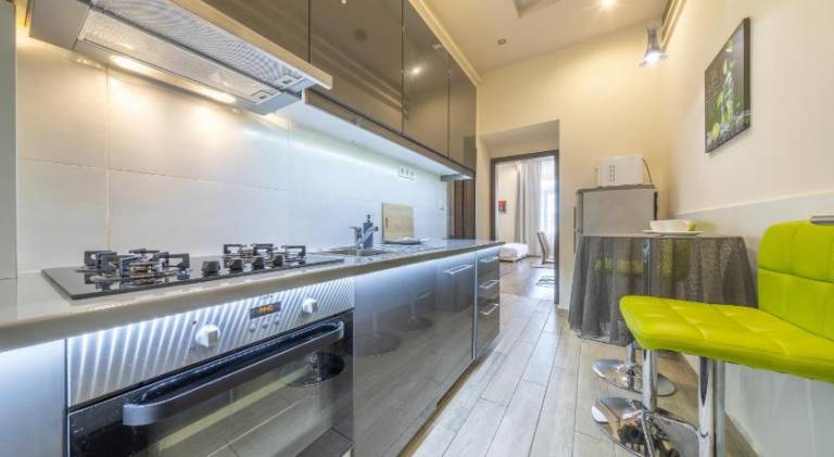 Eagle-eye downtown apartments by souperapartments — photo 4