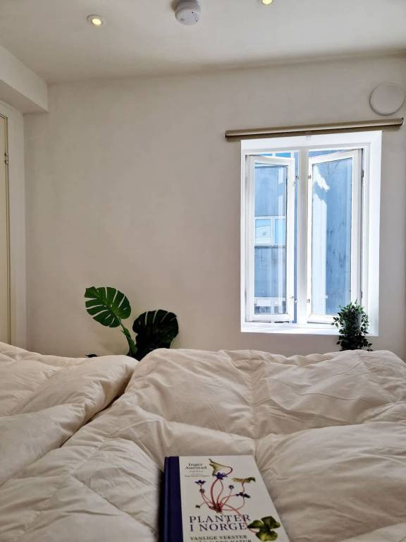 foto10