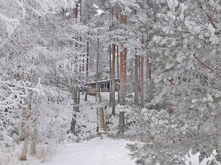 House with sauna | Nature view | Dogs allowed — photo 4